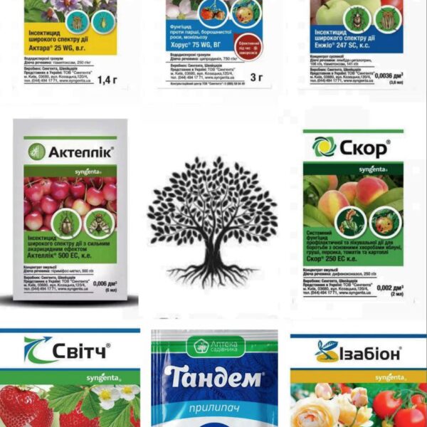 Для абрикоса набір засобів захисту на сезон, від Syngenta