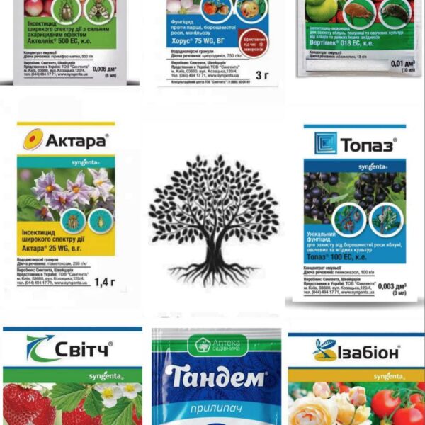 Для полуниці набір засобів захисту на сезон, від Syngenta