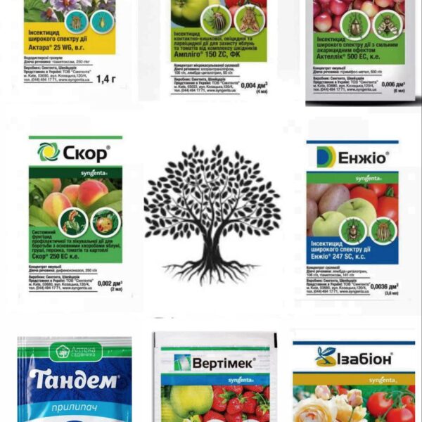 Для самшиту набір засобів захистуна сезон, від Syngenta