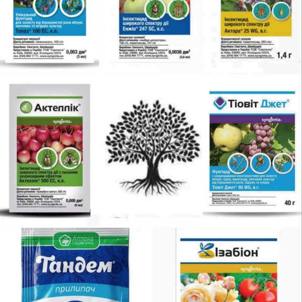 Для чорної смородини,порічок, аґрусу набір засобів захисту на сезон, від Syngenta