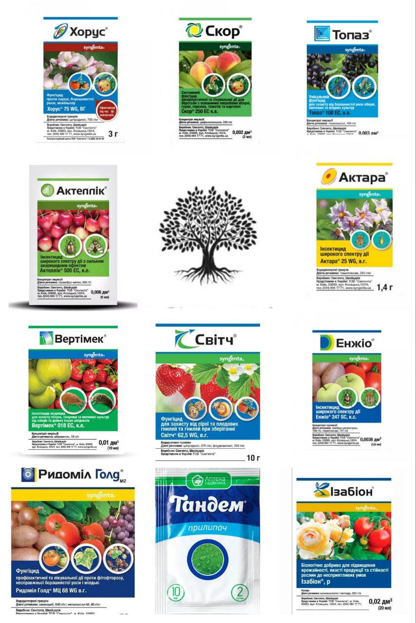 троянди набір