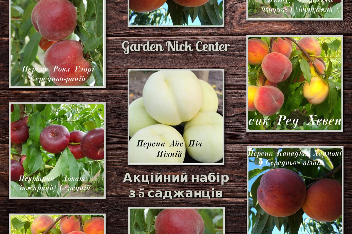 1набір персика