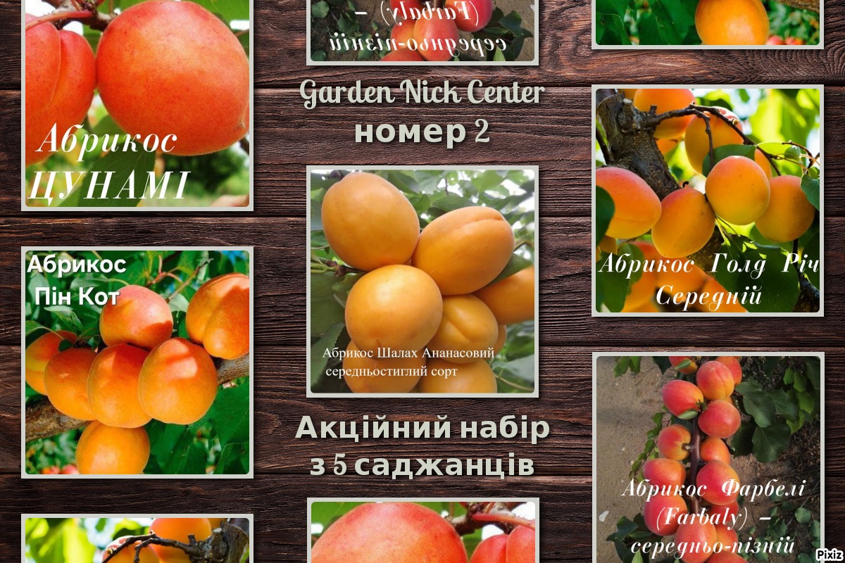 2 акційний набір абрикос