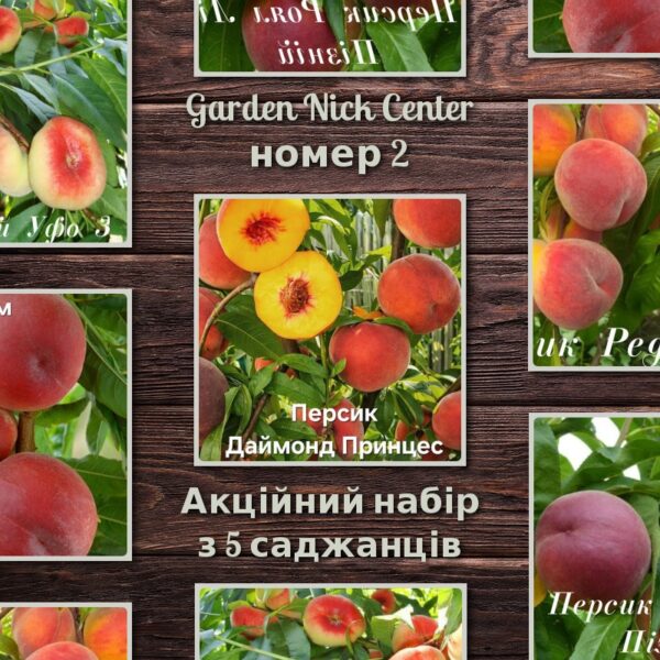 Топ-5 персиків №2