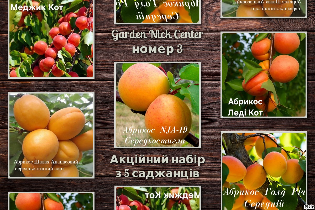 3 акційний набір абрикос 3,