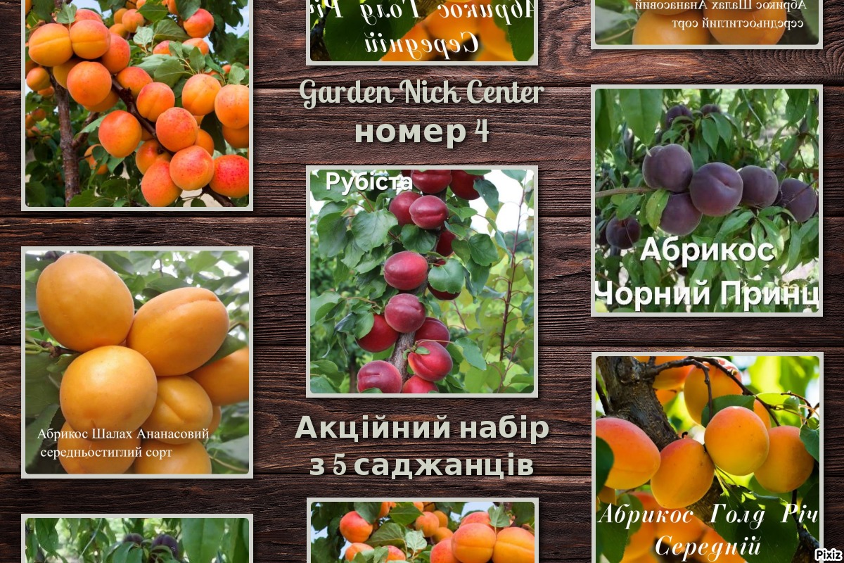 4 акційний набір абрикос