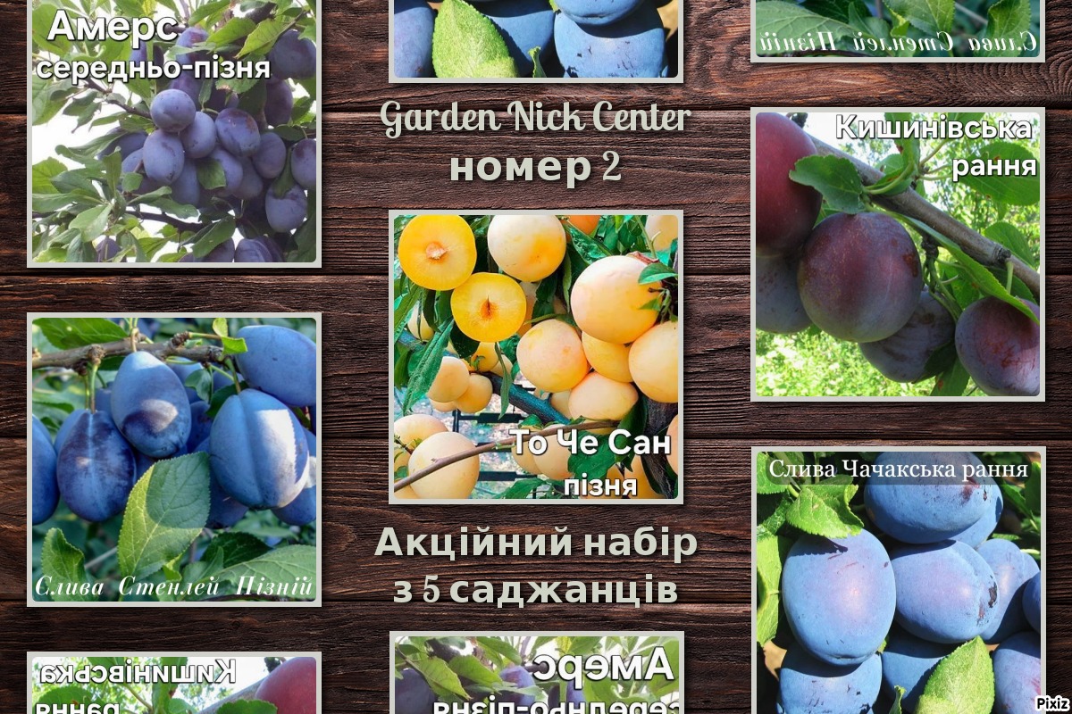 Акційний набір 222222