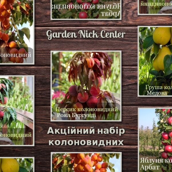 Топ-5 персиків колоновидних для вашого саду