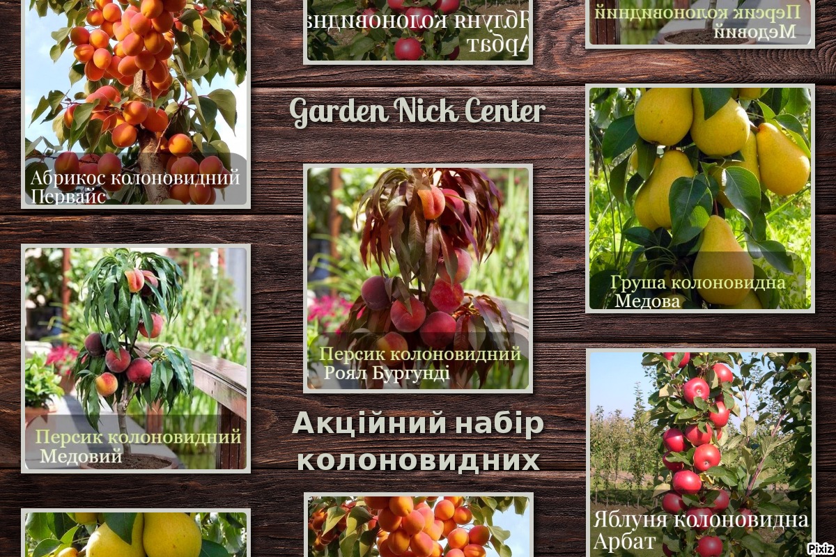 Акційний набір колоновидних