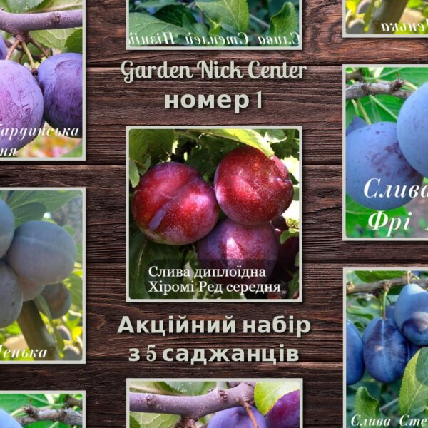 Топ 5 Слив №1